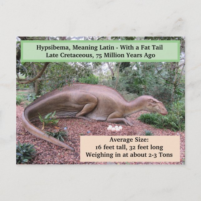 Hypsibema - Dinosaure - Carte d'apprentissage (Dos)