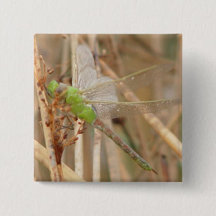 I1 Green Dragonfly 2 Inch Square Button