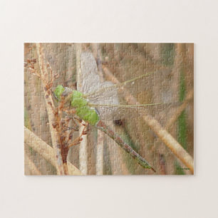 I1 Green Dragonfly Jigsaw Puzzle