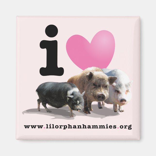 I <3 Pigs Magnet (Front)