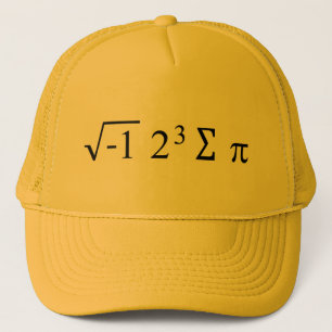 i 8 sum pi - I Ate Some Pie Funny Math Formula Hat