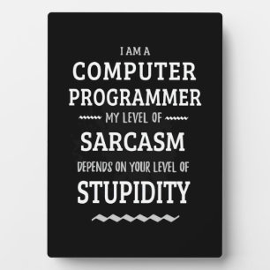 I Am A Computer Programmer Plaque