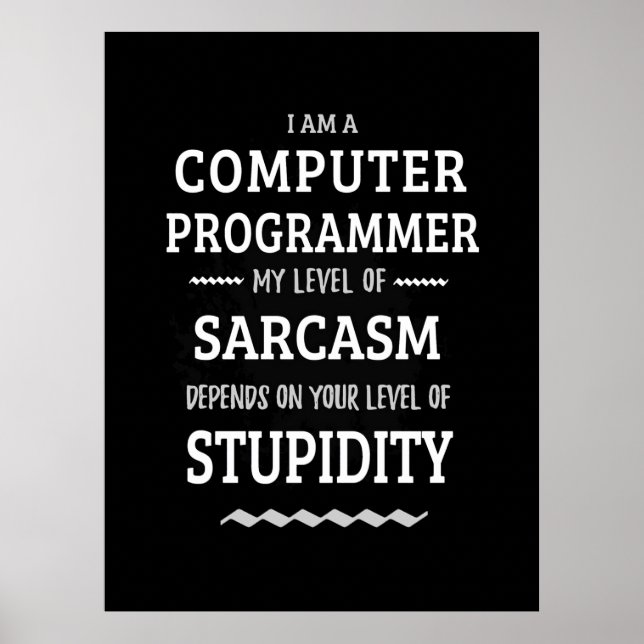 I Am A Computer Programmer Poster (Front)