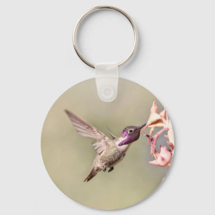 I am a Costa's Keychain