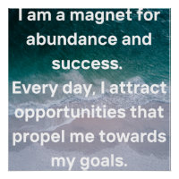 I am a magnet for abundance and success