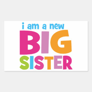 I am a new Big Sister Sticker