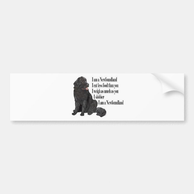 I am a Newfoundland Bumper Sticker (Front)