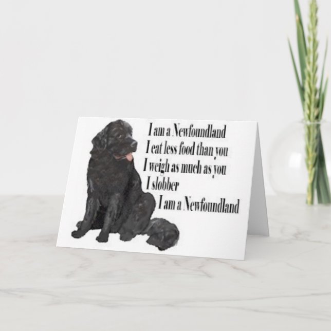 I am a Newfoundland Card (Front)