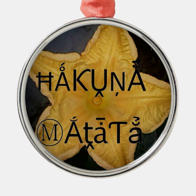 I am a star within. metal ornament (Front)