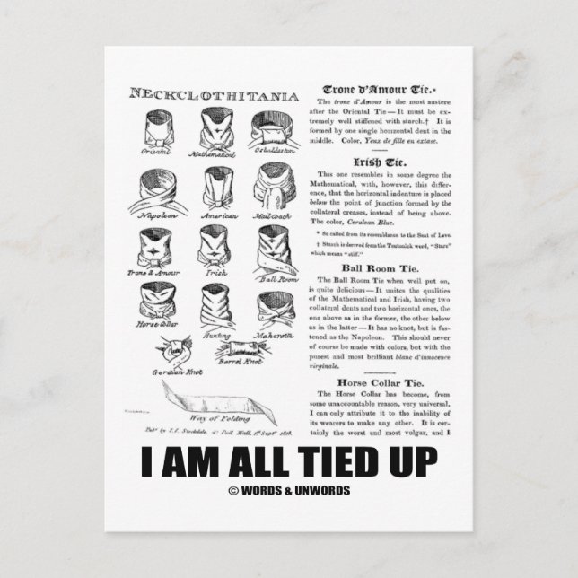 I Am All Tied Up (Tie Knowledge Humour) Postcard (Front)