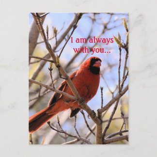 I am always with you... postcard