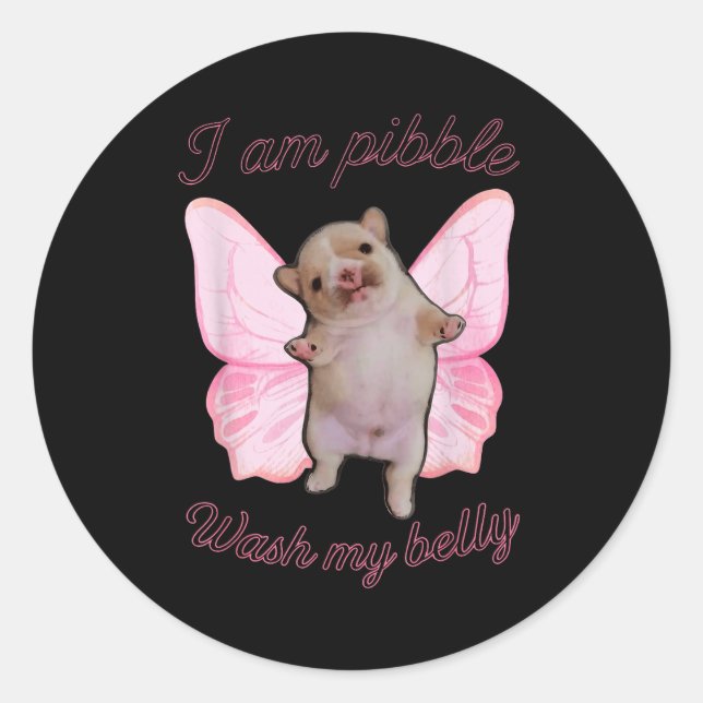 I Am Bble Wash My Belly Bble Meme Funny Dog Brainr Classic Round Sticker (Front)