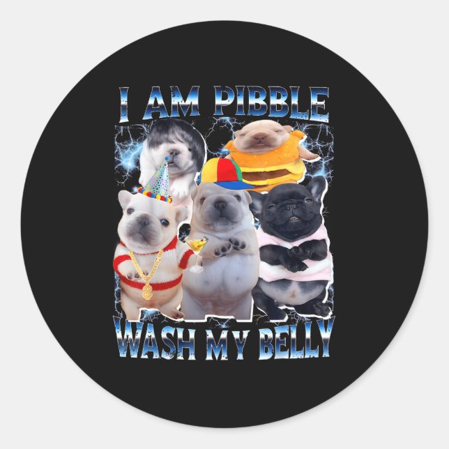 I Am Bble Wash My Belly Bble Meme Funny Dog Brainr Classic Round Sticker (Front)