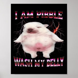 I Am Bble Wash My Belly Funny Dog Meme  Poster