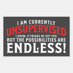 I Am Currently Unsupervised Sticker