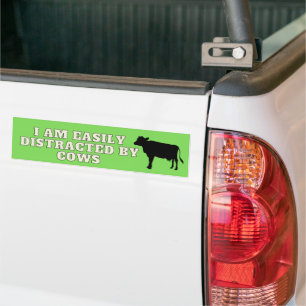 I Am Easily Distracted By Cows Bumper Sticker
