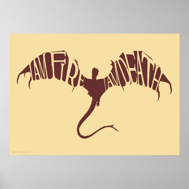 I Am Fire I Am Death - Graphic Poster (Front)