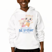 I Am Going To Be A Big Brother Baby Announcement