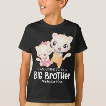 I Am Going To Be A Big Brother Baby Announcement