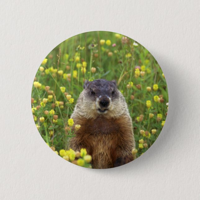 I am Groundhog 2 Inch Round Button (Front)