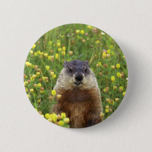 I am Groundhog 2 Inch Round Button