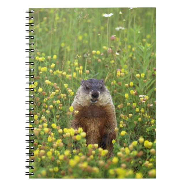 I am Groundhog Notebook (Front)