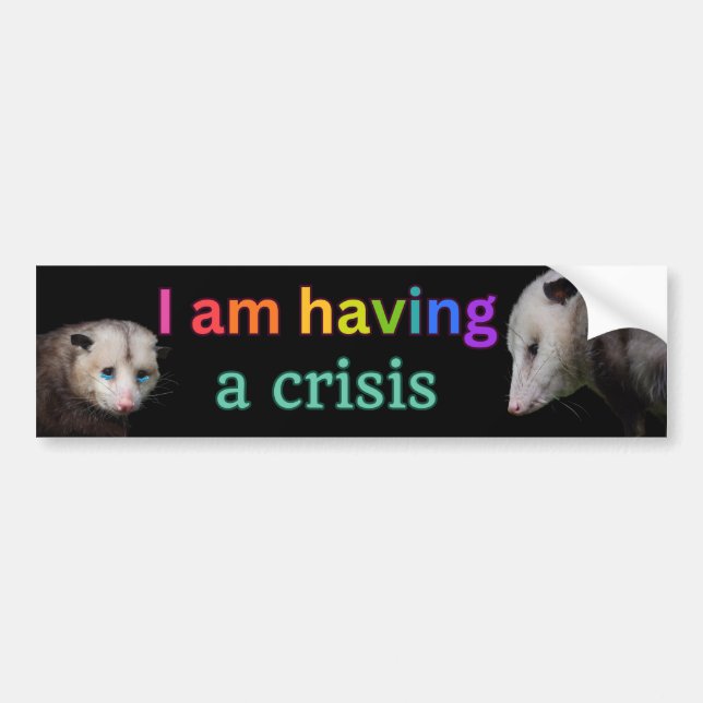 I am having a crisis, funny possum bumper sticker (Front)