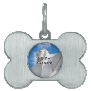 I Am Here Pet Name Tag