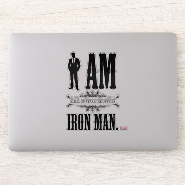 I Am Iron Man (Computer)