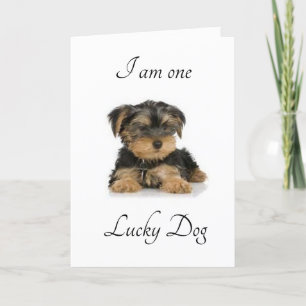 I AM "MARRIED TO YOU" LUCKY DO I AM CARD