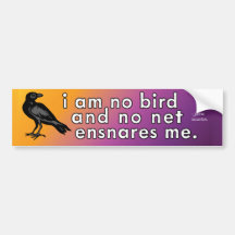 I am no bird and no net ensnares me - Jane Austin
