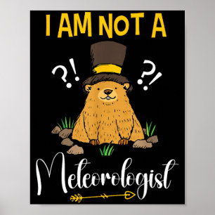 I Am Not A Meteorologist Funny Groundhog Day Poster