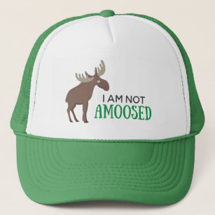 I am not amoosed father's day joke pun trucker hat