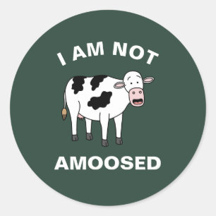 I Am Not Amoosed Funny Farming Animal Cow Pun Classic Round Sticker