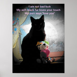 I am not bad luck- haiku poster