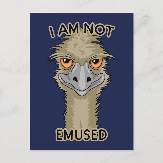 I Am Not Emused Funny Emu Pun Holiday Postcard (Front)
