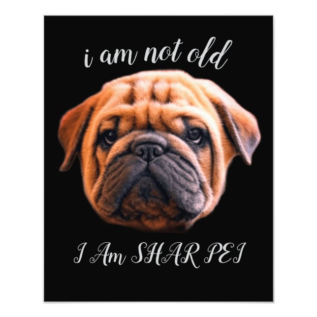 I AM NOT OLD PHOTO PRINT (Front)