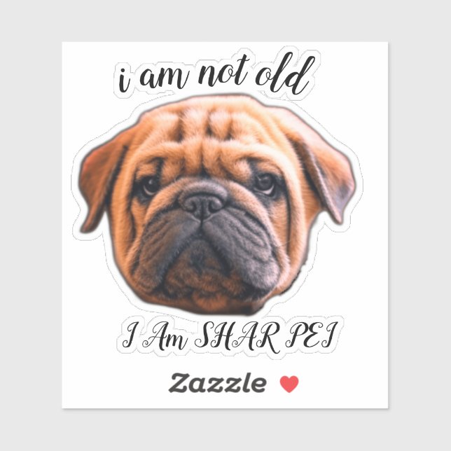 I AM NOT OLD STCKER (Sheet)