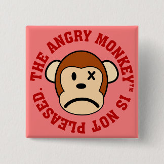 I am not pleased by your performance 2 inch square button
