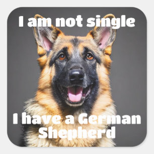 I am not single. I have a German Shepherd Square Sticker