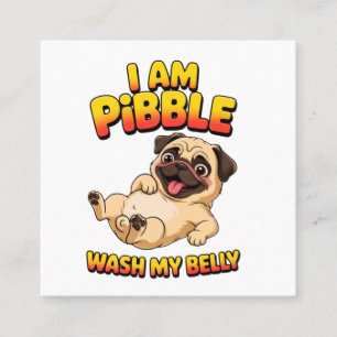 I Am Pibble Wash My Belly Square Business Card