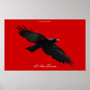 I AM RAVEN III Flying Black Raven Art Poster
