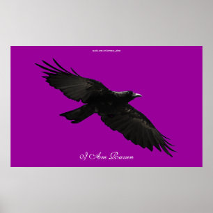 I AM RAVEN III Flying Black Raven Art Poster