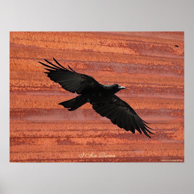 I AM RAVEN III Flying Black Raven Poster (Devant)
