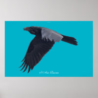 I AM RAVEN V Flying Black Raven Poster