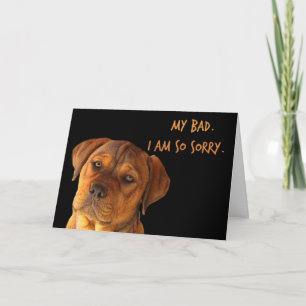I am Sorry Apology Cute Puppy My Bad Card