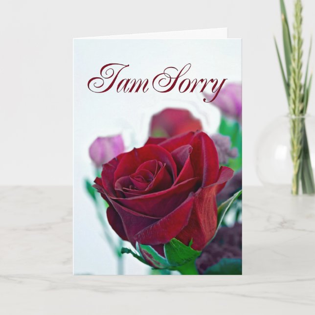 I am sorry card with a red rose (Front)