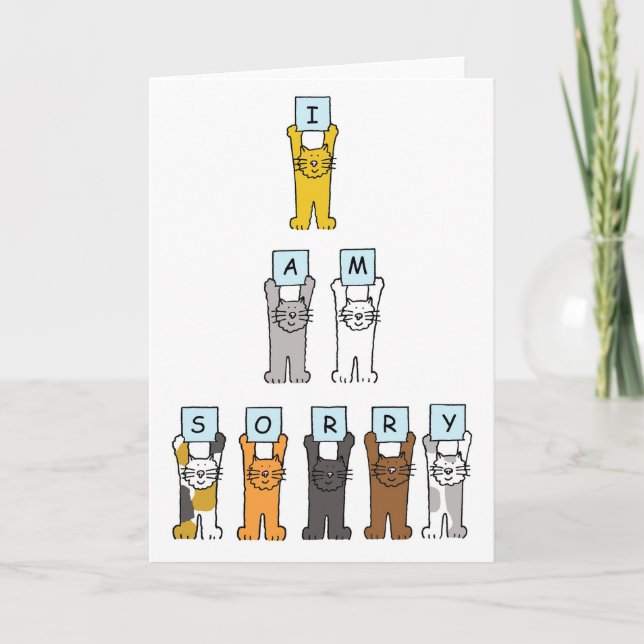 I am Sorry Cute Cartoon Cats Card (Front)