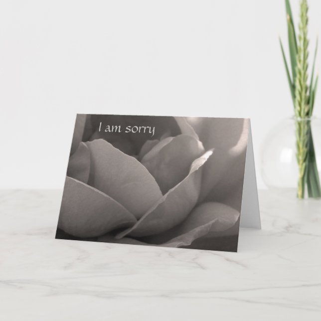 I am sorry - rose card in b&w (Front)