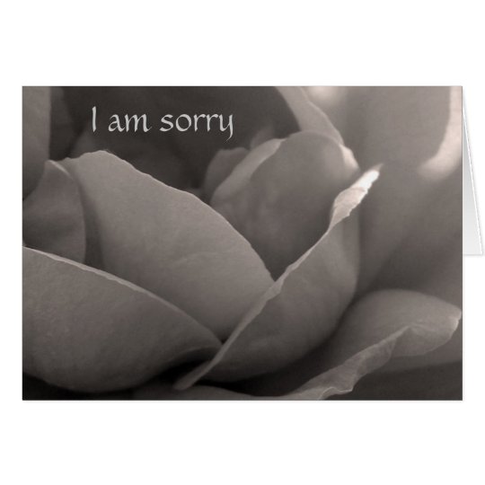 I am sorry - rose card in b&w